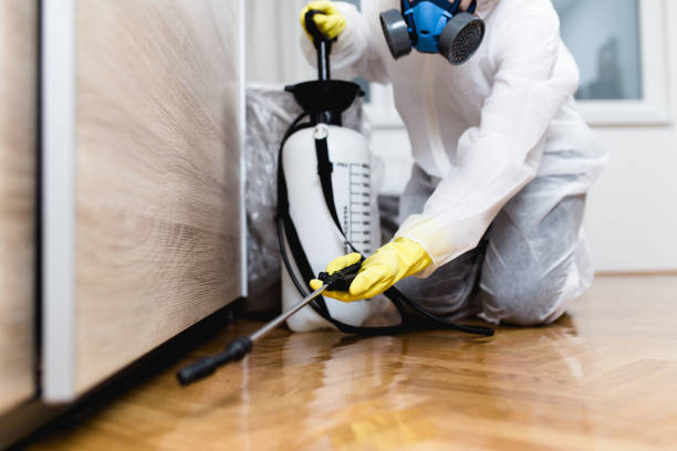 Best Affordable Pest Control Services  in Oxford, OH