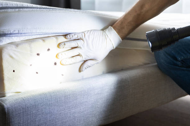 Best Residential Pest Control  in Oxford, OH
