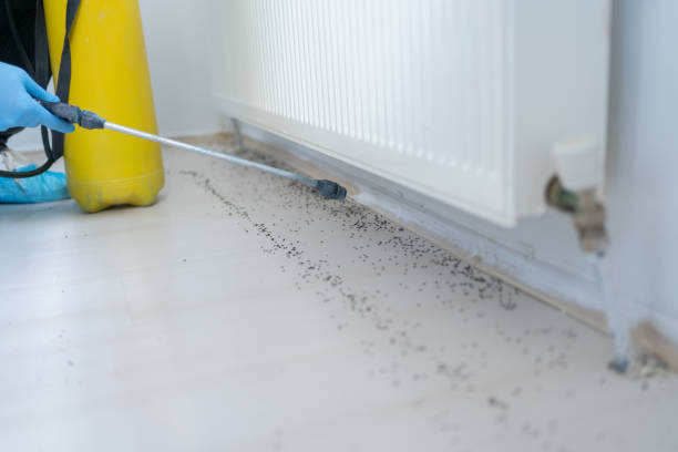 Best Best Pest Control Companies  in Oxford, OH