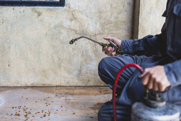 Best Emergency Pest Control  in Oxford, OH